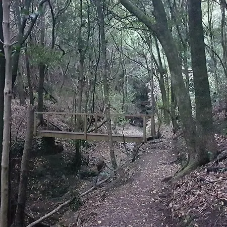 La Casita De Omar En El Corazon De Anaga Y La Laguna Appartamento *
