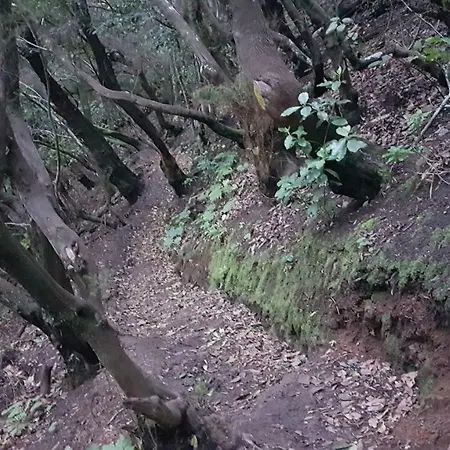 La Casita De Omar En El Corazon De Anaga Y La Laguna *