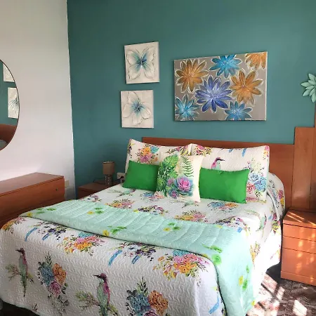 La Casita De Omar En El Corazon De Anaga Y La Laguna *