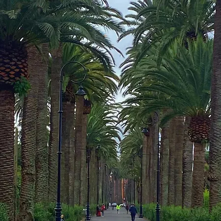 La Casita De Omar En El Corazon De Anaga Y La Laguna Las Mercedes