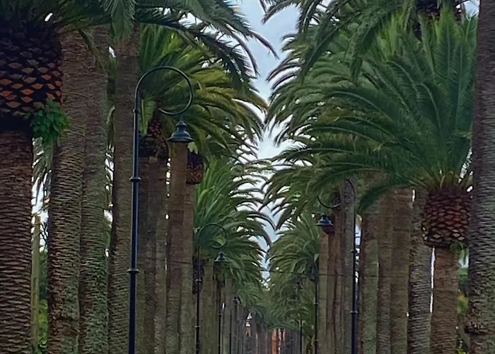 La Casita De Omar En El Corazon De Anaga Y La Laguna Las Mercedes