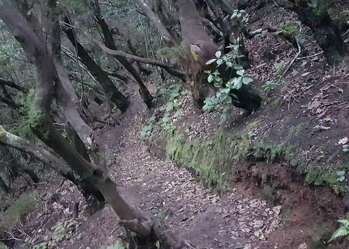 La Casita De Omar En El Corazon De Anaga Y La Laguna *