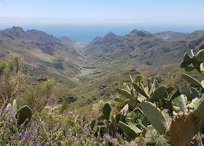 La Casita De Omar En El Corazon De Anaga Y La Laguna *
