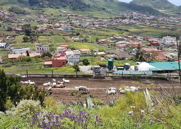 شقة La Casita De Omar En El Corazon De Anaga Y La Laguna