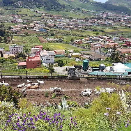アパート La Casita De Omar En El Corazon De Anaga Y La Laguna